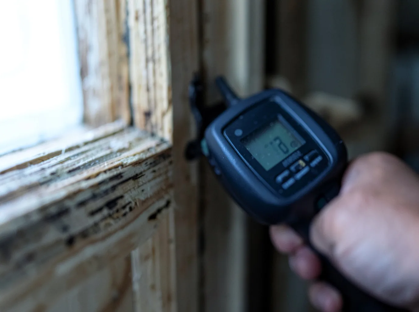 Moisture Inspection And Documentation in Coolidge, TX